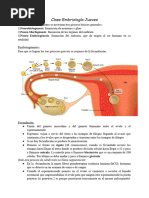 Clase Embriología 