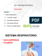 Aura - Aula 8 Sistema Respiratório