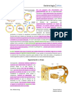 Clase 3 - Embriologia 26-10-2016 1 230905 120932