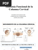 Anatomía Funcional de La Columna Cervical