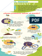 Infografía Cuidado Del Medio Ambiente Creativo Verde