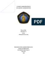 C2 - Laporan Besar Penanaman - Praktikum - Manajemen Agroekosistem Aspek HPT