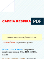 Aula 18 - Cadeia Respiratótira - 2020-1