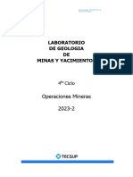 LABORATORIO+Nro+7 GMYY Alteraciones+en+DepC3B3sitos+Tipo+PC3B3rfido+CuprC3ADfero LAB07 2023-2