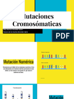 Mutaciones Cromosomáticas