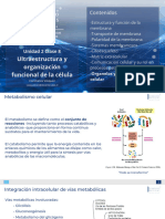 U2C8 BioCelMol Metabolismo A