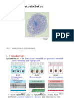 Cytosceleton