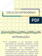 Ciclo Do Nitrogênio