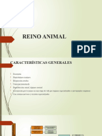 Reino Animal