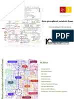 Basic Principles of Metabolic Fluxes