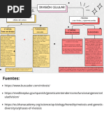 Esquema Gráfico de CyT