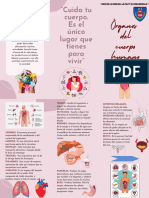 Triptico de Los Órganos Del Cuerpo Humano