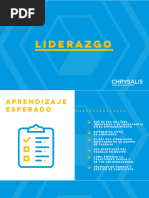 Liderazgo