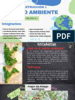 Medio Ambiente (Construccion)