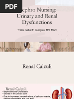 Nephro Nursing - Urinary and Renal Dysfunctions (Part 2)