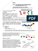 NM1 Ciencias 2