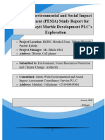 Deseha Zeyit Marble Exploration ESIA Report Final