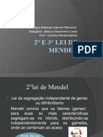 2° e 3° Lei de Mendel