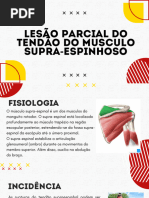 Lesão Parcial Do Tendão Do Musculo Supra-Espinhoso