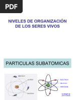 Niveles de Organización de Los Seres Vivos