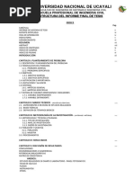 Estructura Del Informe Final de Tesis - Civil