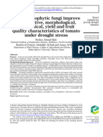 Desert Endophytic Fungi Improve Reproductive, Morphological, Biochemical, Yield and Fruit Quality Characteristics of Tomato Under Drought Stress