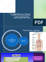 Tuberculosis Urogenital