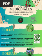 Plantas Medicinales