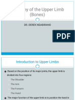 01 Bones of The Upper Limb by DR Derek Ngabirano