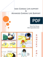 Basic Cardiac Life Support