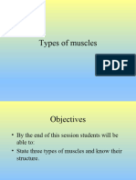 The Muscular System 1