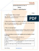 Important Questions Class 11 Biology Chapter 6 Anatomy of Flowering Plants