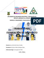 Trabajo Final