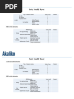 Safety Monthly Report