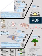 Diseño Arquitectónico de Colegio para Lima-Callao