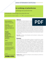 Introducción A La Cardiología de Psitaciformes Introdução À Cardiologia de Psitaciformes