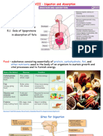 Unit 8 Digestion and Absorption