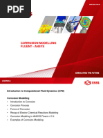 Lecture Corrosion Modelling