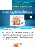 Oscar Alfaro-Endodoncia-Organo Dentino Pulpar