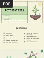 Photosynthesis Science Presentation in Green Beige Illustrative Style