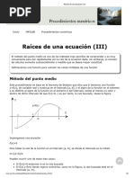 Raíces de Una Ecuación (III)