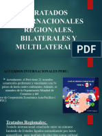 Tratados Internacionales Regionales, Bilaterales y Multilaterales Senati