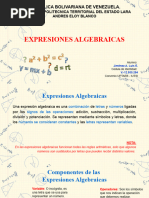 Expresiones Algebraicas - Luis Jimenez