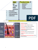 Todo Derma P2