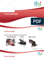 Food Spoilage PPT 711c4