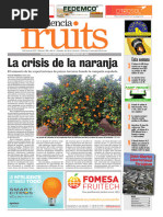 2021 - Crisis Naranja Valencia