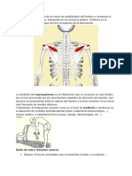 Tendinitis Del Supraespinoso