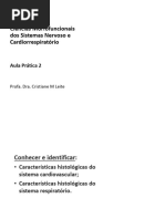 Ciências Morfofuncionais Dos Sistemas Nervoso e Cardiorrespiratório