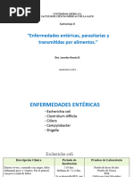 Enfermedades Entericas y Parasitarias