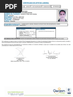 GERIZIM - Certificado de Aptitud Laboral - 18491302